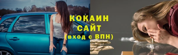 твердый Мегион